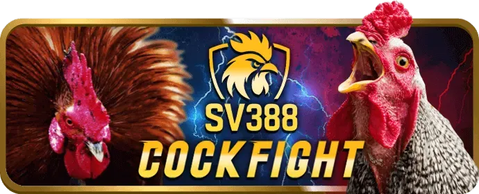 Cá cược thể thao top88 code